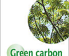 Green carbon guidebook