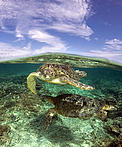  / &copy;: Jürgen Freund / WWF-Canon