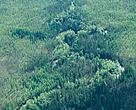 Taiga & Riverine Forest. Sakha Republic (Yakutia), Siberia, Russian Federation. 