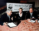 WWF / World Bank Alliance for Forest Conservation and Sustainable Use.