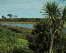 Fiordland National Park South Island, New Zealand.