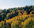 Bashkortostan (Bashkir Republic), European & Central Russia, Russian Federation.