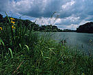 Regelsbrunner Au (floodplain), Danube River.