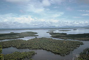 Danau (Lake) Sentarum, wetland in Indonesia, Asia. / ©: WWF-Canon / Jikkie JONKMAN Danau (Lake) Sentarum, wetland in Indonesia, Asia. / ©: WWF-Canon / Jikkie JONKMAN