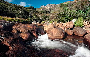 Andringitra Strict Nature Reserve, Madagascar. / ©: WWF / Olivier LANGRAND Andringitra Strict Nature Reserve, Madagascar. / ©: WWF / Olivier LANGRAND