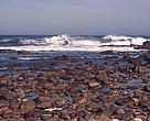 Rocky shore coastline Cape of Good Hope, Republic of South Africa 