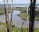 Sentarum National Park, West Kalimantan (Borneo), Indonesia. 