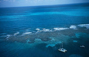 Florida Keys, Florida, United States of America. / ©: WWF-Canon / WORLD TELEVISION Florida Keys, Florida, United States of America. / ©: WWF-Canon / WORLD TELEVISION