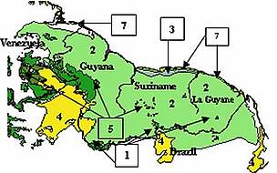 / &copy;: WWF Guianas