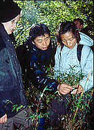  / &copy;: WWF-China / Caroline LIOU