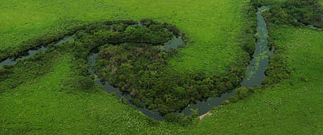 Meandering river, Amazon. / ©: WWF - Gustavo YBARRA rel=