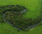 Meandering river, Amazon.