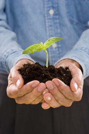 WWF Green Office: a benefit to your organisation and the environment. / &copy;: Microsoft