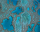 Aerial view of Hardy Reef, Great Barrier Reef Marine Park, Australia.