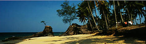 Hawksbill Turtle Beach Bazaruto Island, Mozambique.
 rel=