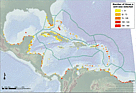 Map of a prioritized analysis of coral, seagrass pasture and mangrove areas in the Caribbean. / &copy;: Philip Kramer