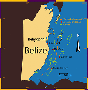 Belize. / ©: WWF / ©: WWF