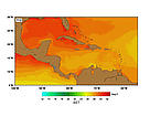 SST (Sea Surface Temperatures) - August. / &copy;: http://www.rsmas.miami.edu