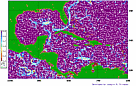 Map of the velocity of marine currents in the Caribbean. / &copy;: GOOS y NOOA