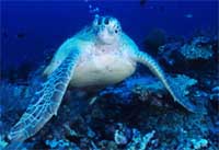  / &copy;: WWF-Canon / Jürgen Freund