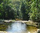 Amboró Protected Area, Bolivian Amazon.