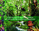 High Conservation value forest toolkit for Papua New Guinea