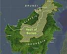 Heart of Borneo