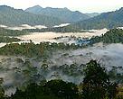 Forest range within the Heart of Borneo