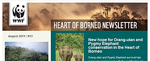 Heart of Borneo newsletter screenshot / ©: WWF / ©: WWF