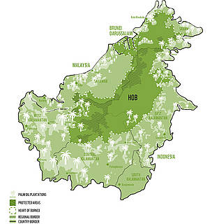 Map of palm oil plantations in the Heart of Borneo / ©: WWF / ©: WWF