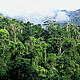 Tropical rainforest. Andapa, Madagascar. © Edward Parker / WWF-Canon