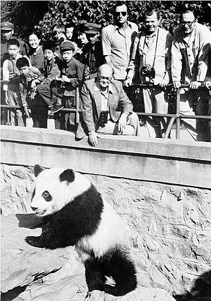 / &copy;: WWF Int. / WWF - Canon
