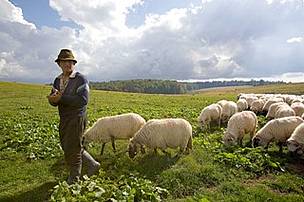 Shepherd looking after his sheep, Gradistea Muncelului Cioclovina Nature Park, Carpathian ... / ©: Michel Gunther / WWF-Canon / ©: Michel Gunther / WWF-Canon