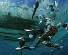 Guitarfish, rays, and other bycatch are tossed from a shrimp boat. La Paz, Mexico.
