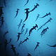 &copy; naturepl.com/Jeff Rotman / WWF