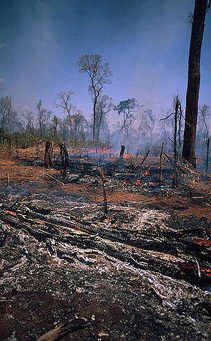 Forest is burned for new agriculture land Madagascar. / ©: John E. Newby/WWF-Canon / ©: John E. Newby/WWF-Canon