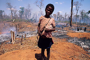 On estime que les émissions de gaz à effet de serre dues à la déforestation représentent environ ... / ©: Credit: WWF Canon / John E. Newby / ©: Credit: WWF Canon / John E. Newby