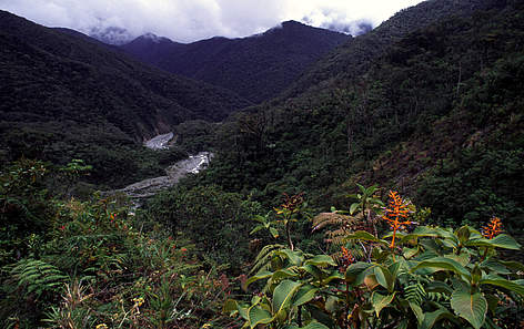 Parque Nacional río Abiseo / ©: André Bârtschi / WWF Canon / ©: André Bârtschi / WWF Canon