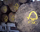 FSC logo photo