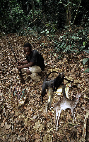 Bush meat hunter with Duiker species and Ceropthecus species. Minkébé, Gabon / ©: Michel Gunther / WWF Canon / ©: Michel Gunther / WWF Canon