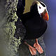 Tufted puffins (Lunda cirrhata) are specialist seabirds which are highly vulnerable to climate change. At the world's largest puffin breeding colony, two decades of unusually warm temperatures associated with climate change between 1975 and 2002 led to drastically decreased growth rates of tufted puffin nestlings, with fledging success near zero when waters were warmest. Climate change could ... © Kevin Schafer / WWF-Canon