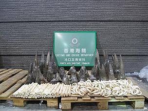 Rhino horns seized in Hong Kong / ©: Hong Kong Customs and Excise Dept. / ©: Hong Kong Customs and Excise Dept.