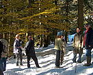 The participants in the Garcin Valley/George Dinicu, WWF DCP