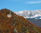 Autumn in the Romanian Carpathians/George Dinicu, WWF DCP