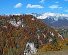 High nature value forests are still intact in some areas of the Carpathians