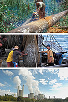  / &copy;: Volker Kess / WWF / Jürgen Freund / Andrew Kerr / WW-Canon
