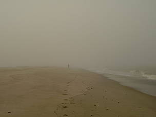 A human figure can just be seen in the fog / &copy;: WWF Russia
