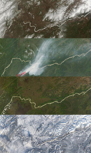 The seasons change in Huslia, Alaska on the bank of the Koyukuk River. / ©: MODIS Instrument on the Terra Satellite operated by NASA Satellite maps showing of Koyukuk River, Alaska showing the four seasons. / ©: MODIS Instrument on the Terra Satellite operated by NASA