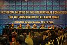 ICCAT, 2008: a decade long tradition of ignoring its scientists on catches and seasons continues, ... / ©: Phil Dickie/WWF / ©: Phil Dickie/WWF