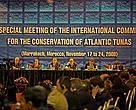 ICCAT, 2008: a decade long tradition of ignoring its scientists on catches and seasons continues, risking collapse of the world's last surviving large bluefin fishery.